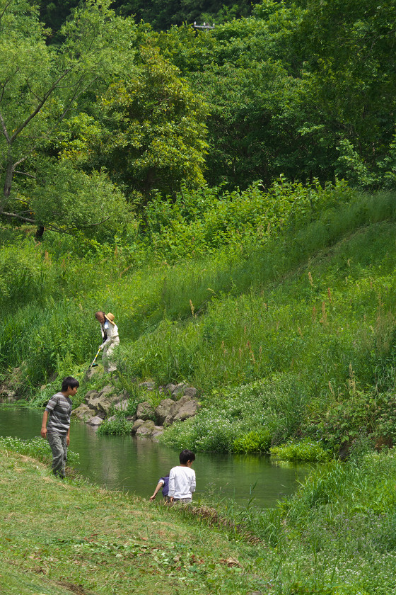 水緩ム季節ノ到来_f0072758_20363065.jpg