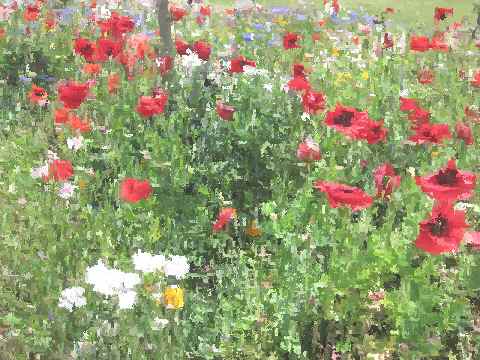 花菜ガーデンのモネ風花畑とカレル チャペックの家 お散歩アルバム 賑やかな夏に