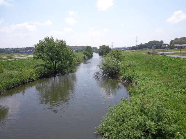 のあ５１３　卯の花の匂う垣根に♪_b0061261_22123266.jpg