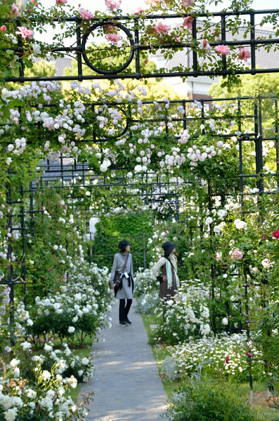 パレスのふたつの花園_b0170969_23533691.jpg