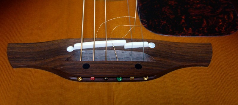 13年5月26日・TAKAMINE DMP-051C_c0129671_16542217.jpg
