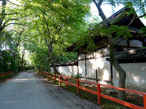 京都（五）　下鴨神社・河合神社_d0084473_1954455.jpg