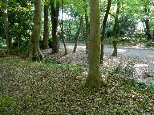 d0084473_195565.jpg