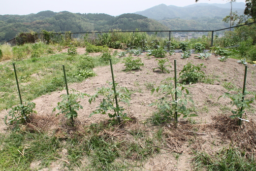 b0224178_0847.jpg