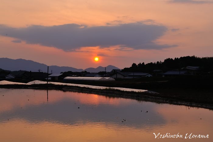 今日の夕景_e0092186_22201440.jpg