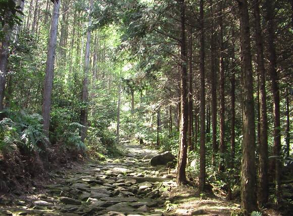c0309492_2295668.jpg