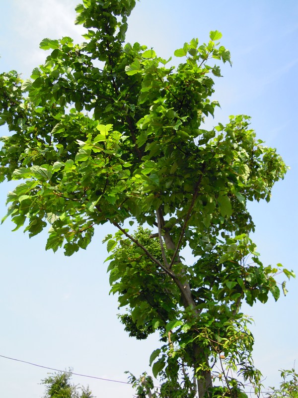 e0116694_2242215.jpg