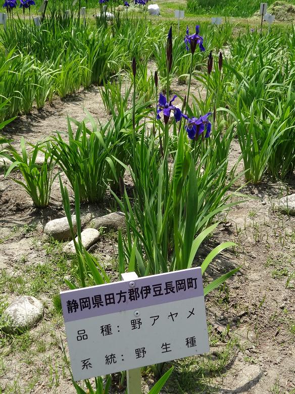 f0075595_1212850.jpg