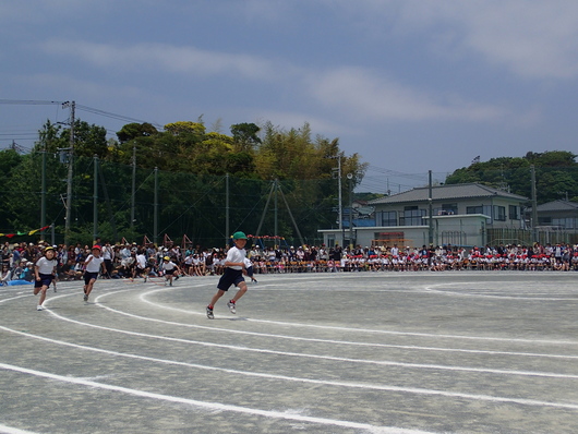 運動会弁当_b0171098_6342631.jpg