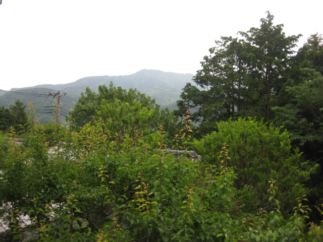 a0224502_1749723.jpg