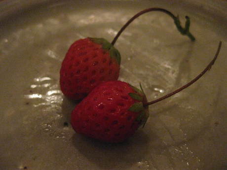 a0224502_21331523.jpg