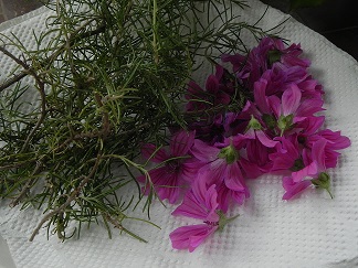 c0152002_182744.jpg