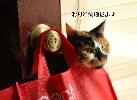 おしおき_b0253205_1153344.jpg