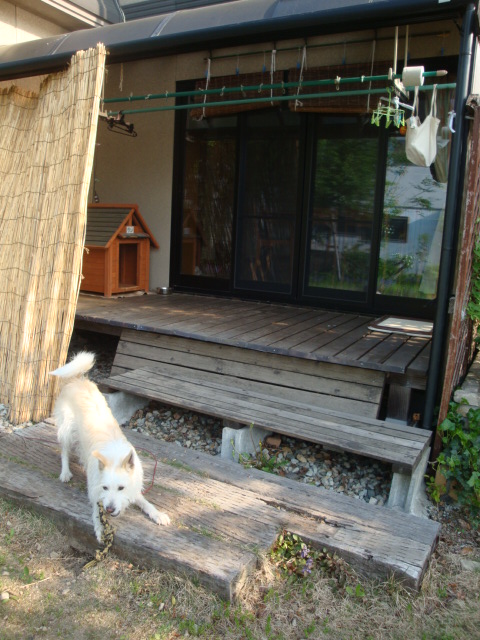 e0175905_1753476.jpg