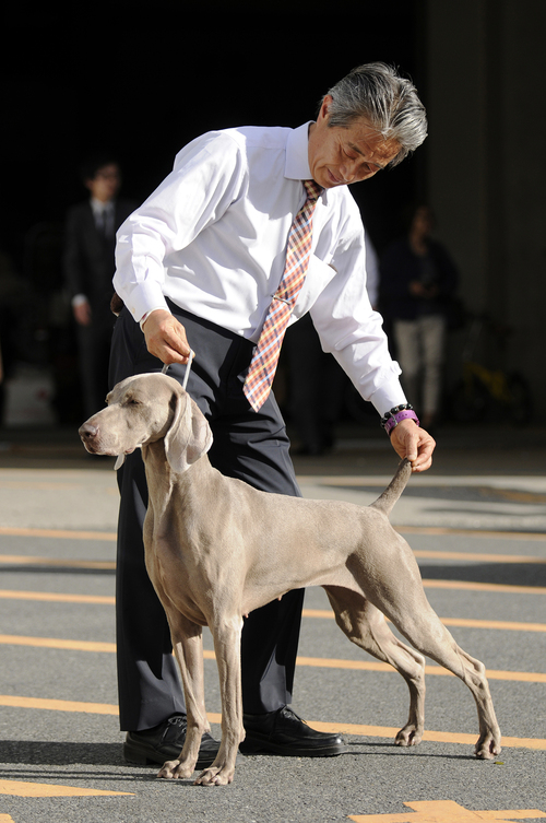 今更ながらの・・・Japan　Int\'l2013_e0265405_2310879.jpg