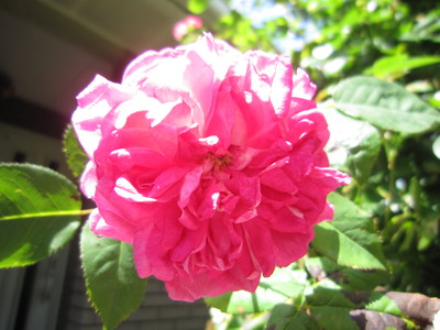 a0141408_22141826.jpg