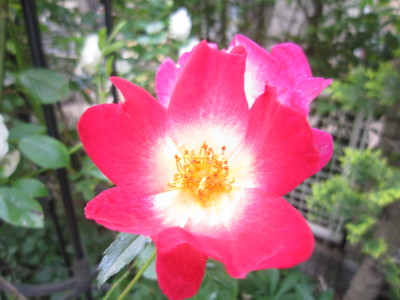 a0141408_22153386.jpg
