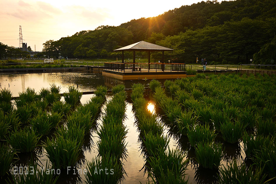 夕暮れの公園♬_b0147808_18134100.jpg