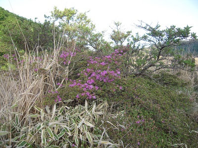 b0277008_8341010.jpg