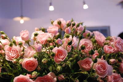 ダリアに可愛い薔薇 Ramb S Ear ﾗﾑｽﾞｲﾔｰ