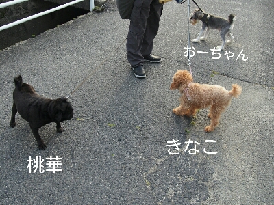 f0239713_22121839.jpg