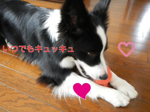a0232619_15422913.png