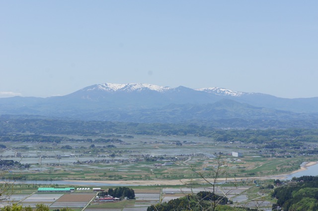 高所から初夏の田園風景を眺めた　Ⅱ_f0143119_22461070.jpg