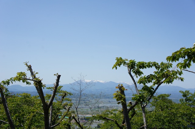 f0143119_224768.jpg