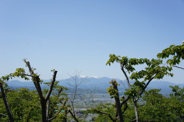 高所から初夏の田園風景を眺めた　Ⅱ_f0143119_224768.jpg