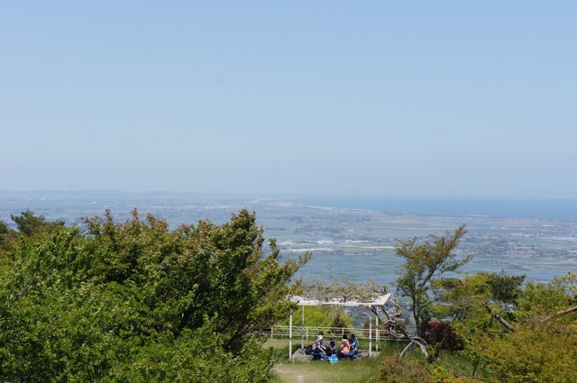 高所から初夏の田園風景を眺めた　Ⅱ_f0143119_22481324.jpg