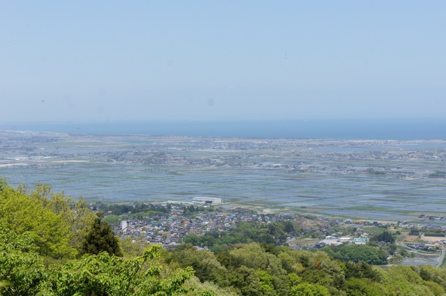 高所から初夏の田園風景を眺めた　Ⅱ_f0143119_22482673.jpg