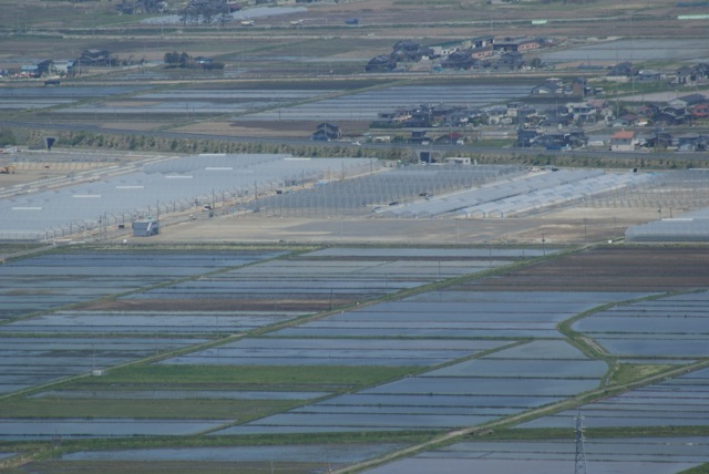 f0143119_22501329.jpg