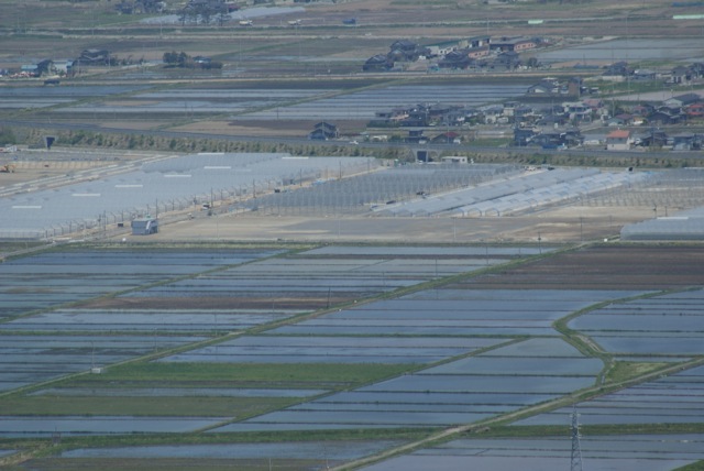 高所から初夏の田園風景を眺めた　Ⅱ_f0143119_22501329.jpg