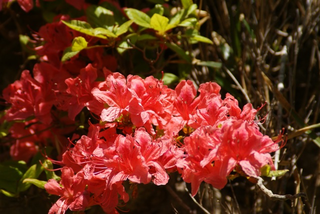 f0143119_22522382.jpg