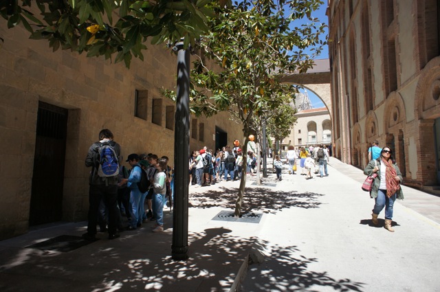 a0059032_16462268.jpg
