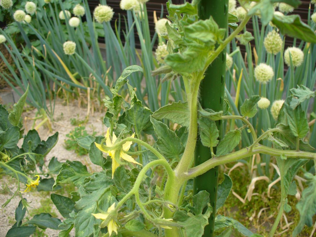 f0275632_22574624.jpg