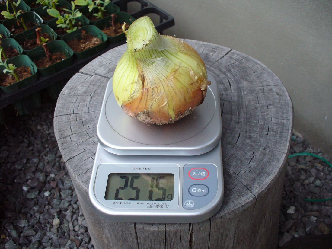 f0275632_2371175.jpg