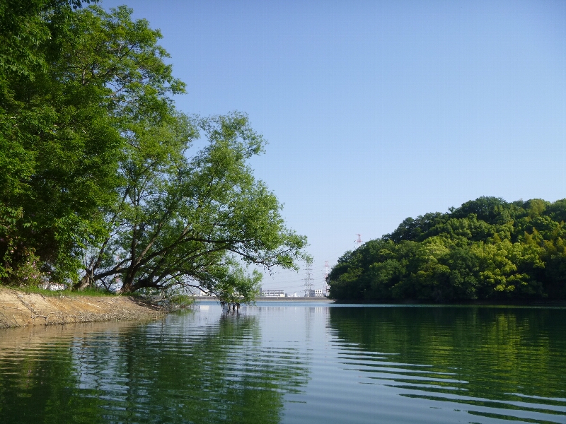 c0113733_2115732.jpg