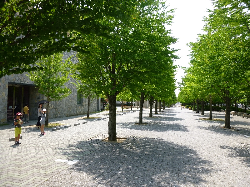 c0113733_2152489.jpg