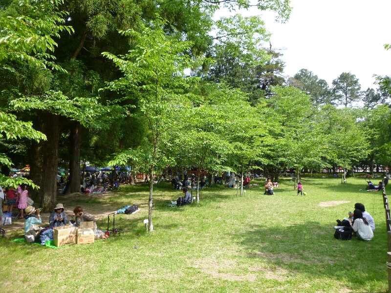 c0113733_2352521.jpg