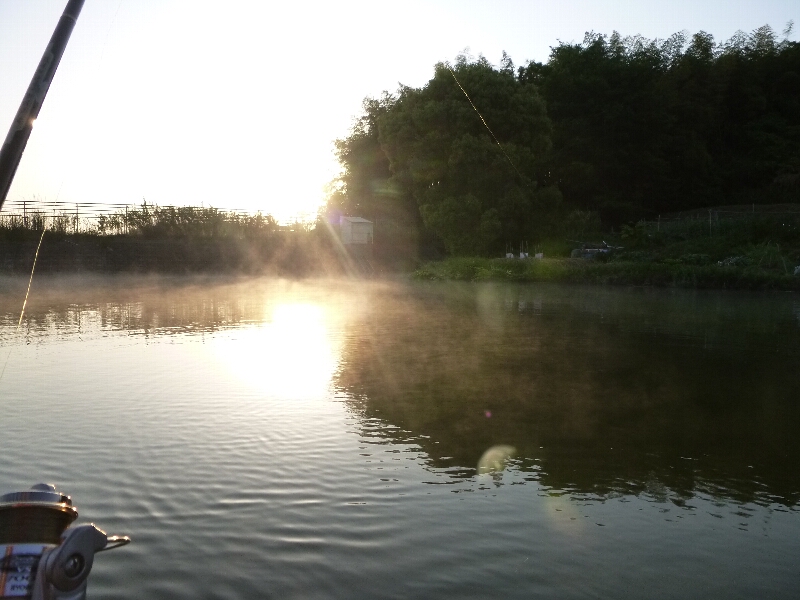 c0113733_283228.jpg