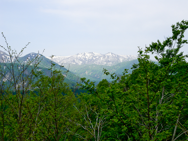田植え_c0176838_1124479.jpg