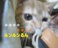 e0255638_10573837.gif