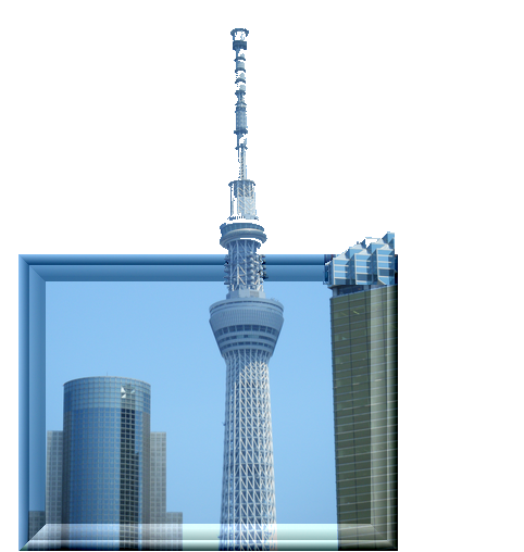 b0221643_16543195.png