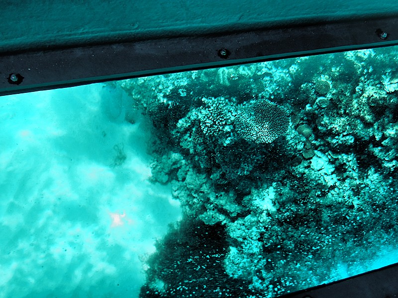 f0002946_221197.jpg