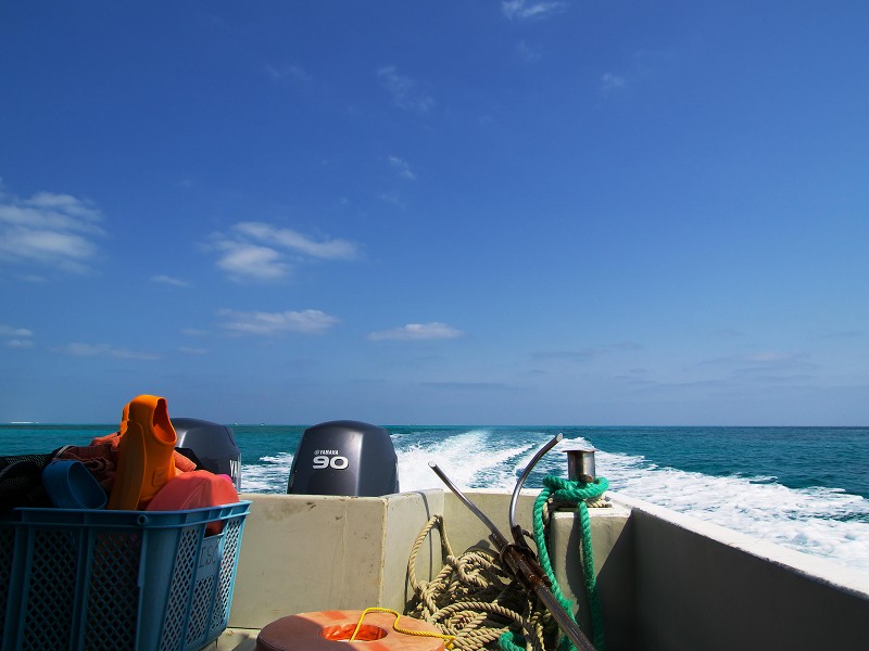 f0002946_2211988.jpg