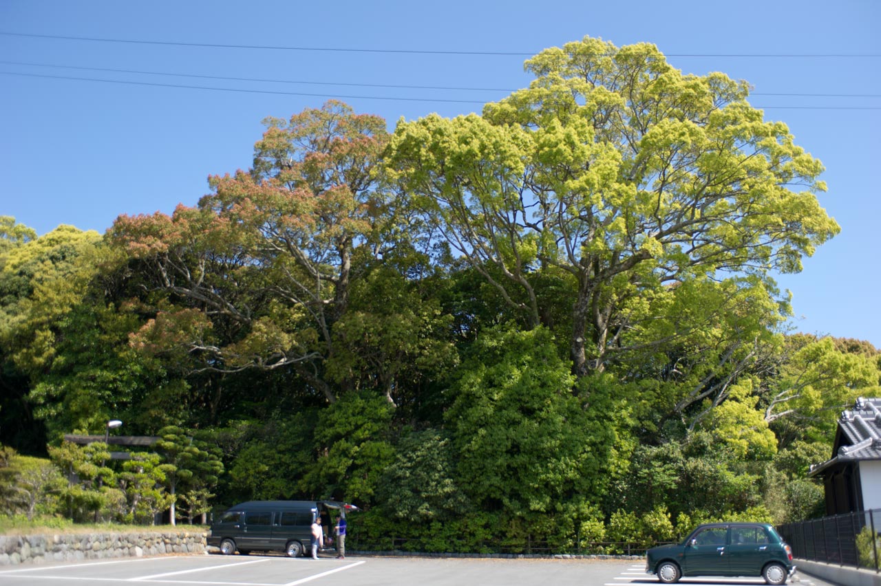 ◆月讀宮・月讀荒御魂宮・伊佐奈岐宮・伊佐奈弥宮・葭原神社　三重県伊勢市_b0023047_1249465.jpg