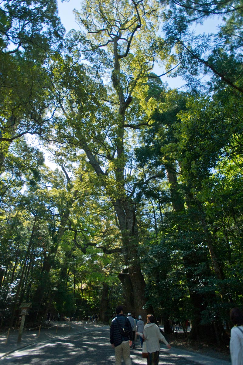 伊勢神宮 内宮 皇大神宮 2 三重県伊勢市 空 sora そら