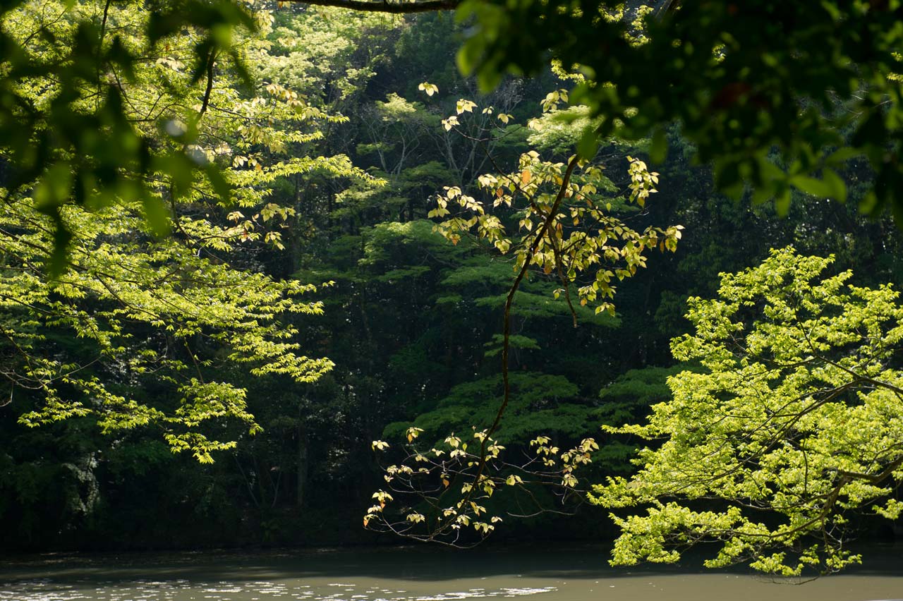 ◆伊勢神宮　内宮　皇大神宮　４　三重県伊勢市_b0023047_6193049.jpg