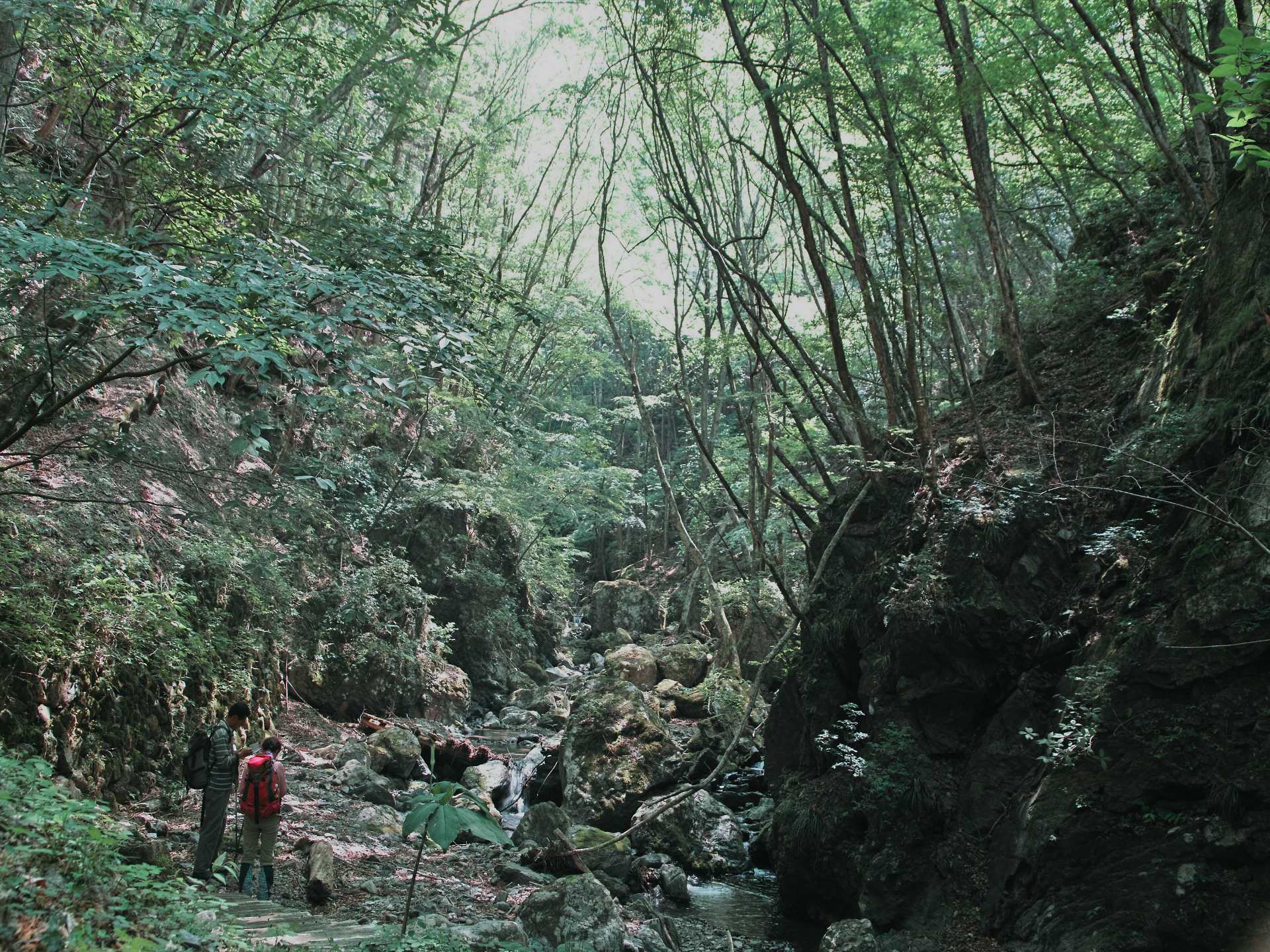 c0008948_16365995.jpg
